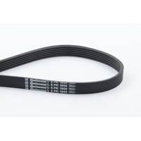 Keilrippenriemen Continental Ctam 6PK1900 FüR Ford Opel Saab Toyota Vauxhall VW