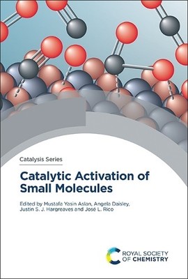 Catalytic Activation of Small Molecules by Mustafa Yasin Asla... - 9781837674183