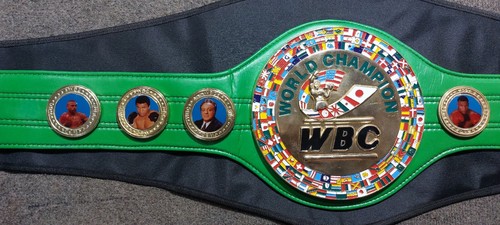 WBC World Boxing Championship Replica Title Belt High Quality children Size - Picture 3 of 4