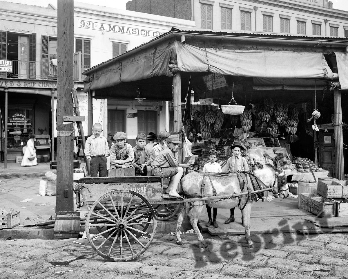 Photograph New Orleans Louisiana French Market & Wagon Year 1908 8x10