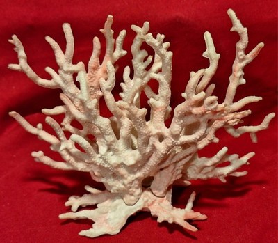 Penn Plax Pink Faux Deco Coral CC-2 1990 Aquarium Tank Plastic Decoration