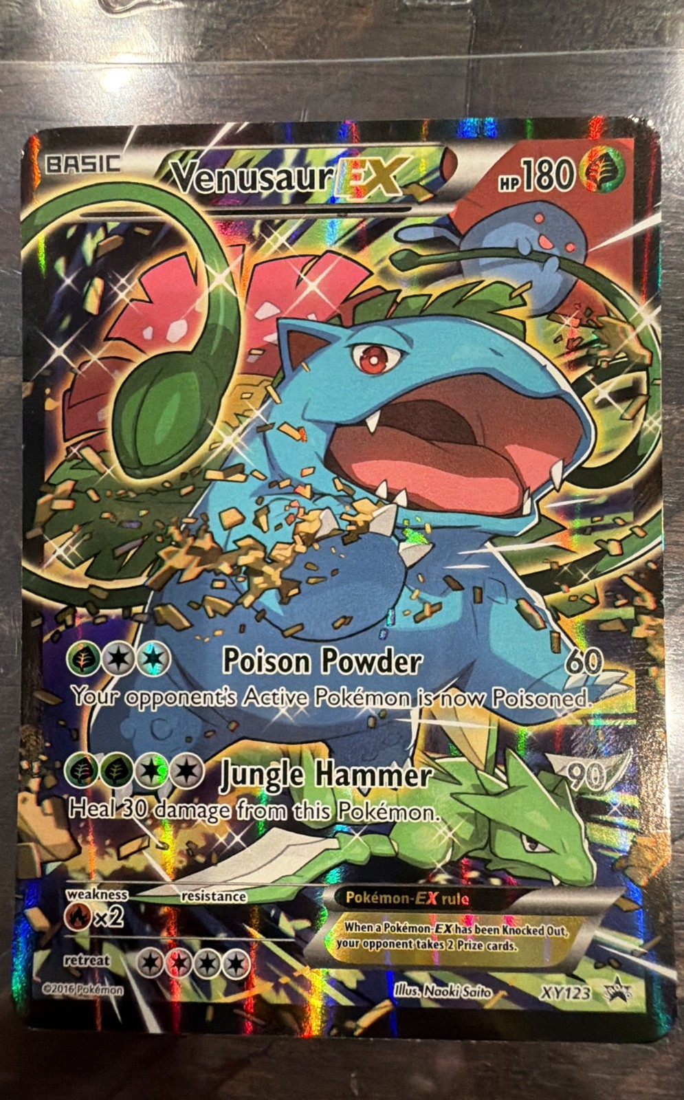Venusaur EX XY123 Pokemon TCG XY Promo Holo