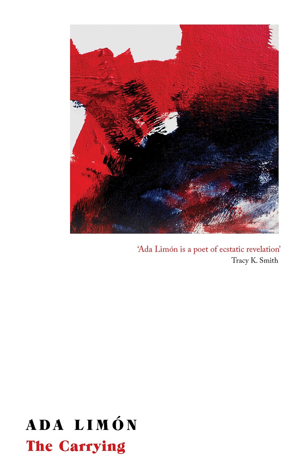 The Carrying: Winner of the National Book Critics Circle Award for Poetry - Image 4