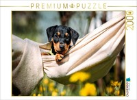 Calvendo Puzzle German Pinscher Puppy | 2000 Pieces, Finished Size 35.4 × 26.4 I