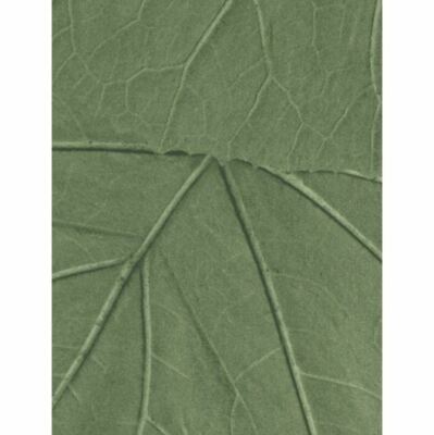 Rasch Textil Tapete Vlies Jungle Fever 138995 Grau Grün stylisch Blatt