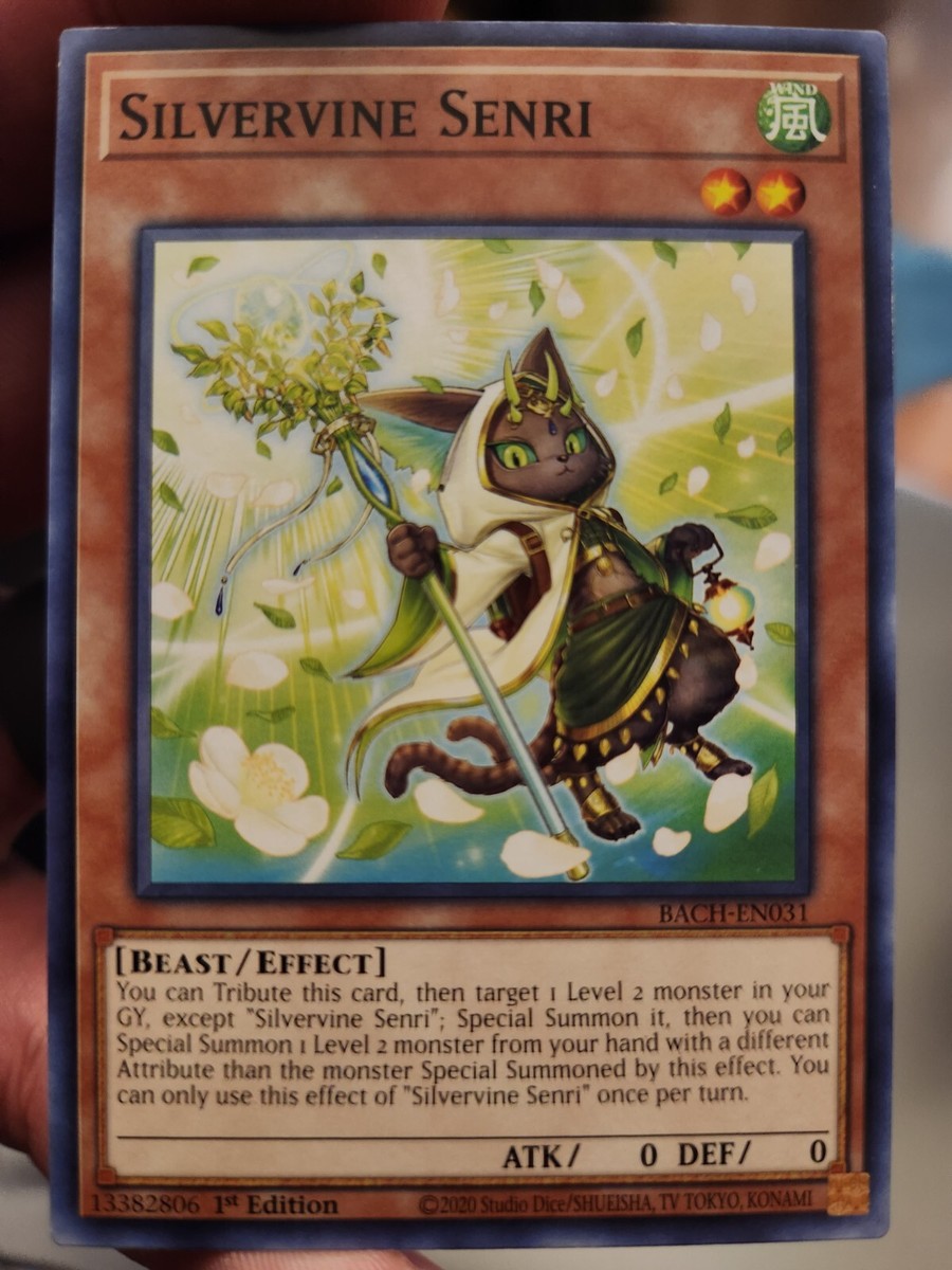2020 Yu-Gi-Oh! Cards - Multiple Set Variety