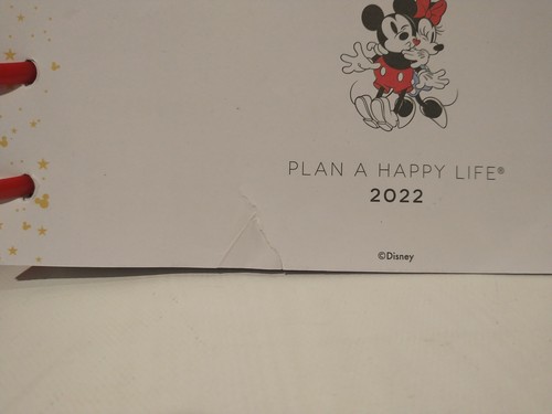 The Happy Planner Disney Topolino e Minnie Meglio Insieme 2022 12 mesi - Foto 9 di 9