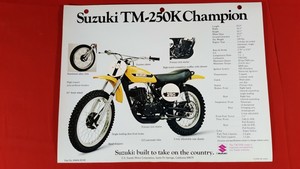 ts champion original