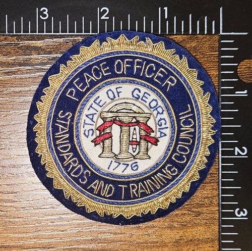 State of Georgia Peace Officer Standards & Training School Bullion Pin On Patch