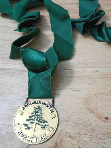 Vintage Tall Cedars Lebanon Juniata Valley Forest No. 88 GTC Medal Deputy Ribbon - Picture 4 of 18