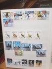 Foto 9 di 14