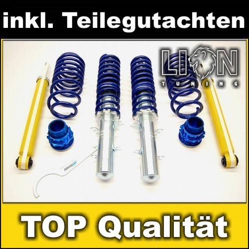 TA Gewindefahrwerk Sportfahrwerk Fahrwerk Audi A3 8L, VW Golf 4, Bora, Variant