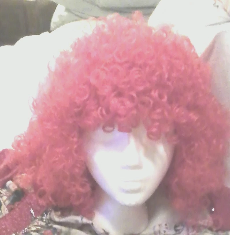 Disfraz de Halloween Raggedy Ann hecho a mano personalizado Foto 4 de 4