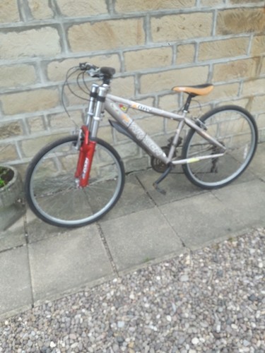 saracen mountain bike