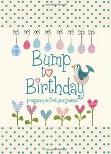 Bump to Birthday, Pregnancy  First Year Journal.... | Buch | Zustand akzeptabel