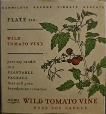 New Kobo Wild Tomato Vine Pure Soy Candle in Plantable Box NIB
