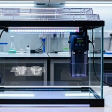 Small Reptile Food Dish Bowl Lizard Feeding Leopard Geckos Feeder