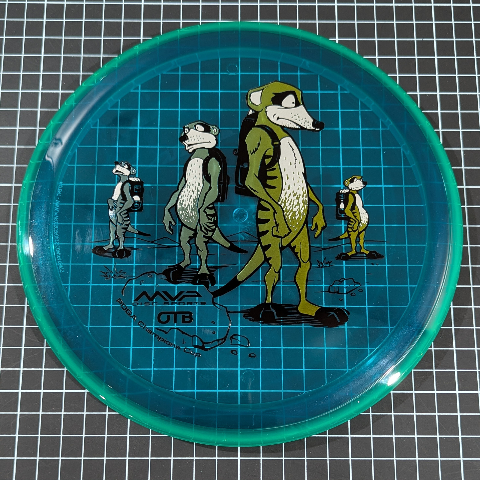 Picture 8 of 21