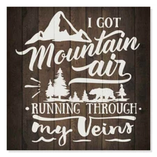 Mountain Air Inpiration Camping Rustic Looking Wood Sign Wall B3-12120061009