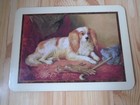 Bild 9 von 22