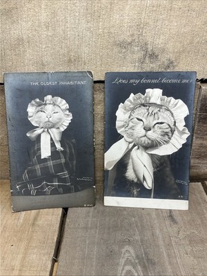 2 Vintage Cat Rotograph postcards - Does My Bonnet Become Me & Oldest Inhabitant
