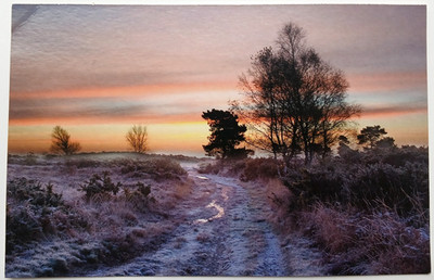 Mannington Heath Dorset Postkarte - unbesendet