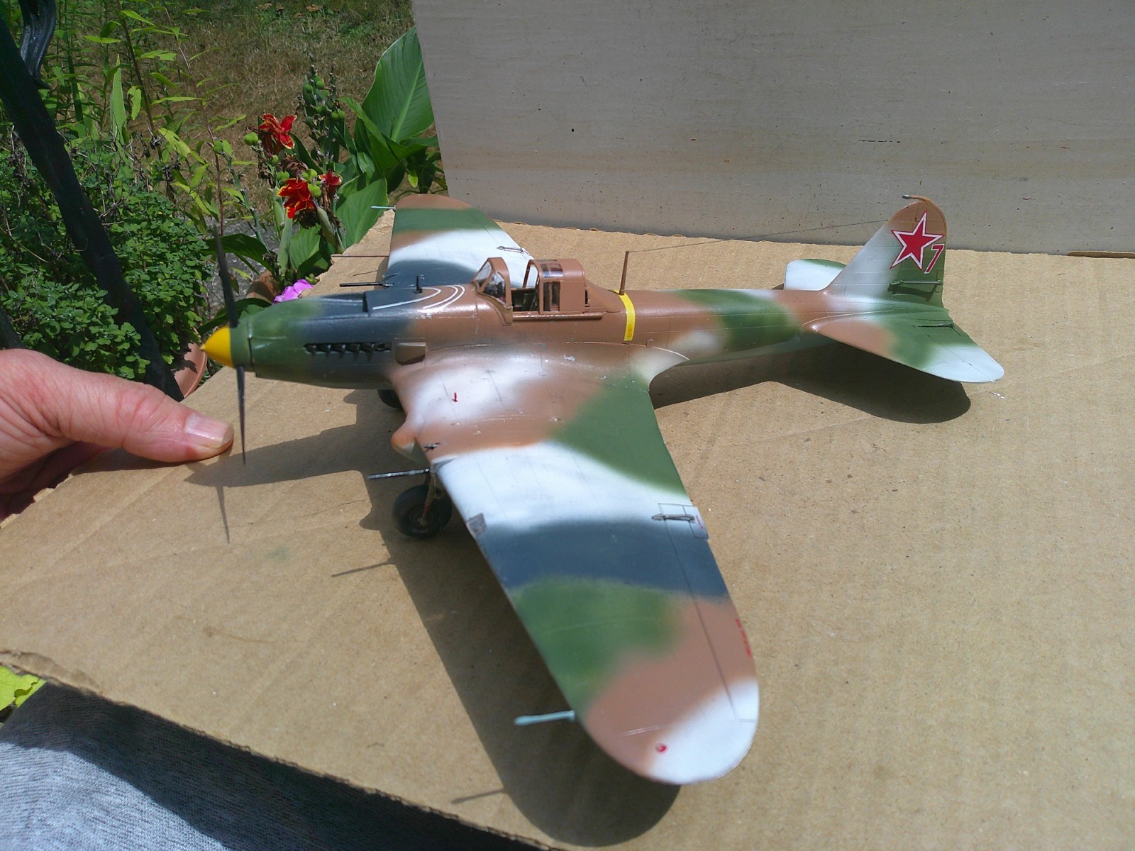 Picture 1 of 6