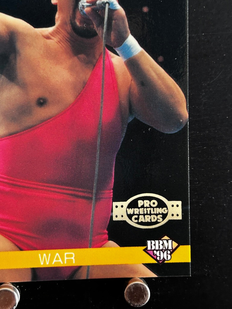 charl25ページです Animal Hamaguchi Pro Wrestling Card 125 Professional
