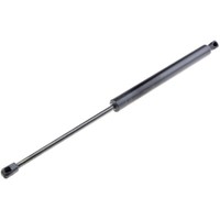 NTY Gasfeder Heckklappe Passend FüR Renault Modus/Grand F/JP0_ 1.2 1.6