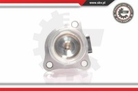 Esen SKV Agr-Ventil Elektrisch FüR Renault Megane II Kangoo Express 14SKV010