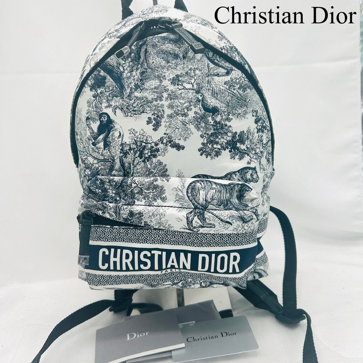 DIOR/ChristianDior Dior Travel Small Backpack M6108SNTJ_M808 White Navy Nylon Christian Dior Small Backpack Rucksack/Daypack Toile de Jouy  main image 2
