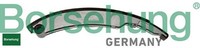 Borsehung B1G039 Gleitschiene FüR Steuerkette Gleitschiene Steuerkette