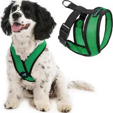 Variety Gooby Dog Harness - Please measure - No returns