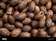 500gr Noci Pecan con guscio non trattate - Sicilia