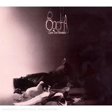 Wasche deine Vögel, Sacha