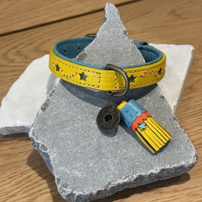 DWAM Hundehalsband Urban Blue Xs Dog Collar