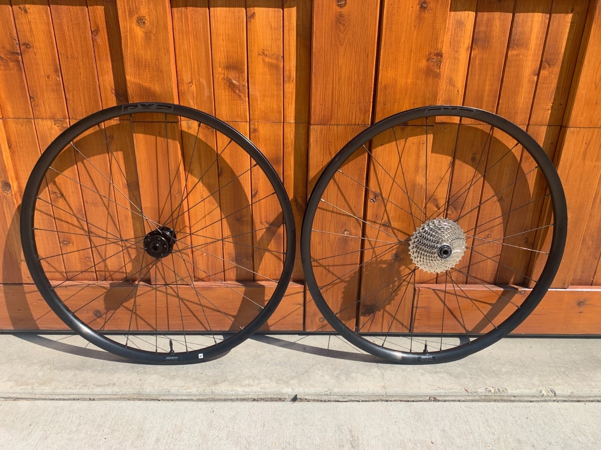 Giant PX2 Alloy Disc Tubeless 11 Speed Gravel or Cyclocross