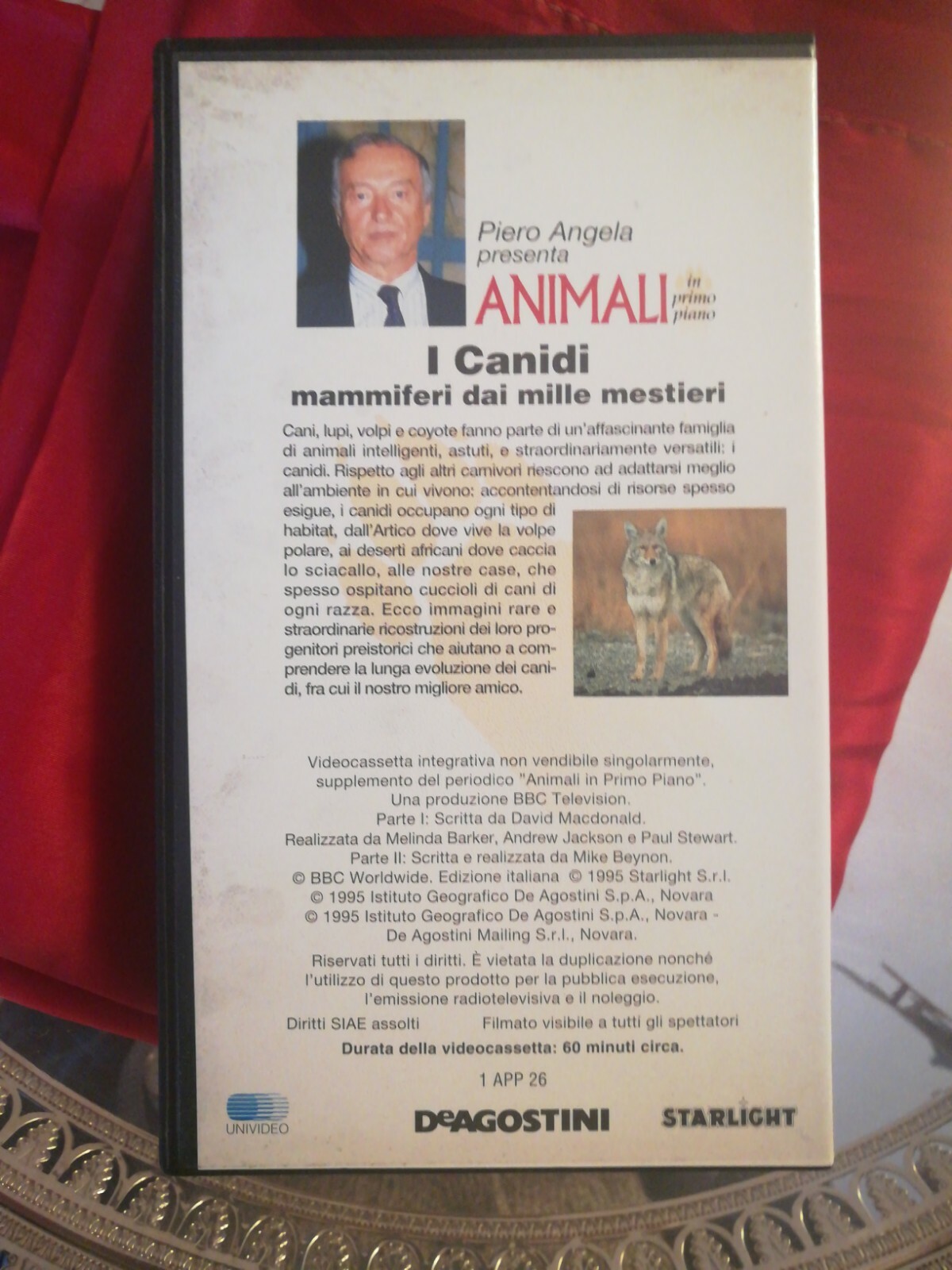 Foto 2 di 2