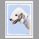 6 Bedlington Terrier Dog Blank Art Note Greeting Cards