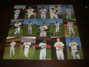 Lot of 15 Different San Francisco Giants Postcards 1982-84 Barry Colla Photos