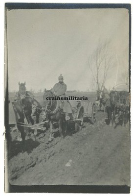 Genuine Photo horse with artillery gun off GONGOLIN b. Lowicz Poland 1915