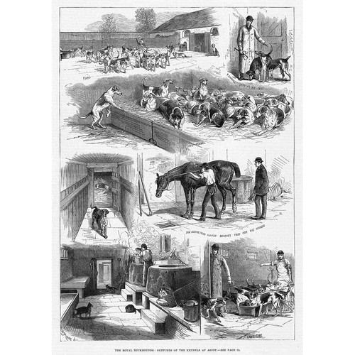 DOGS Royal Buckhounds, The Kennels at Ascot - Antique Print 1880