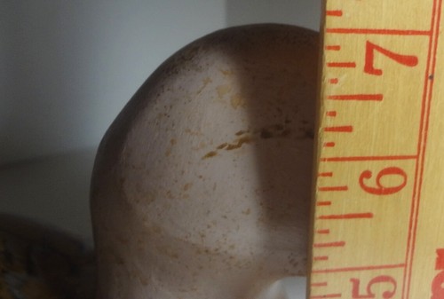 HIGHLY SOUGHT-1991 - PETER HUTCH CODD -MALLARD HEN DUCK DECOY -AMERICAN FOLK ART - Picture 12 of 13