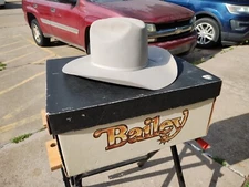 Bailey Mesquite Silver Belly 4X Beaver 4 inch Longhorn Cowboy Hat Size 6 3/4