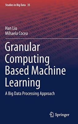 Granular Computing Based Machine Learning: A Big Data Processing