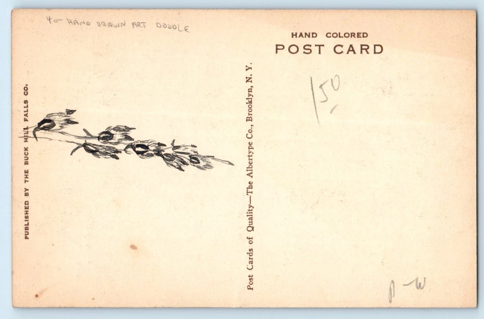 c1930's Upper And Middle Falls Buck Hill Falls PA Hand Drawn Art Doodle Postcard - Image 2 of 2
