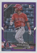 2018 Bowman Draft Purple 48/250 Drevian Williams-Nelson #BD-77 4g3