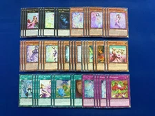 Yu-Gi-Oh! - Complete Rikka Xyz Deck