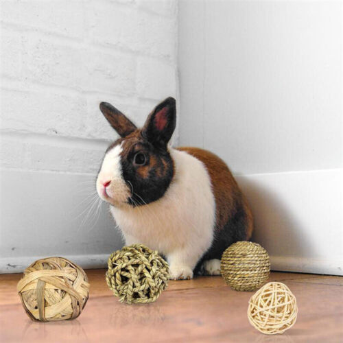 Small Pet Rabbit Cleaning Toys Rattan Woven Chewing Braided Ball Fashion 4Pcs & - Picture 1 of 12