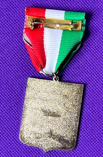 Viva Fiesta San Antonio 2016 Lucianos Italian Fiesta Medal Lapel Pin - Picture 3 of 4
